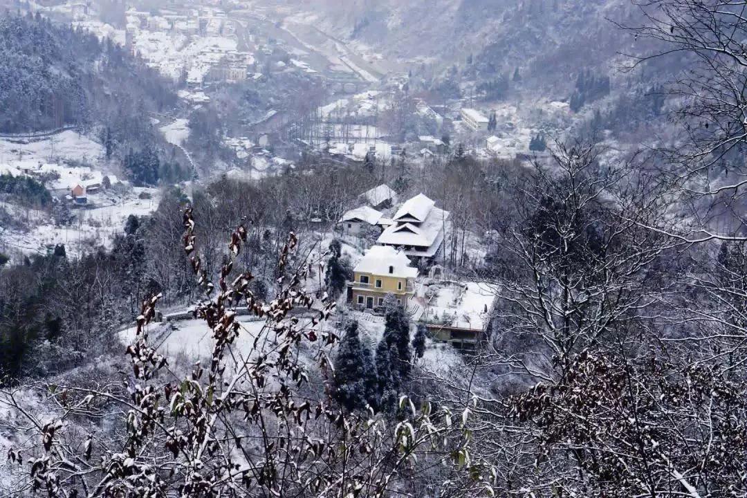 白鹿冬季音乐季 | 奏响冬日恋歌，畅享冰雪白鹿